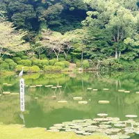 海地獄の写真・動画_image_716238