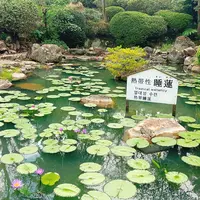 海地獄の写真・動画_image_716240