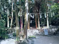 青島神社の写真・動画_image_717821