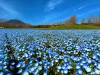 生駒高原の写真・動画_image_719896