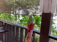 大王わさび農場の写真・動画_image_720535
