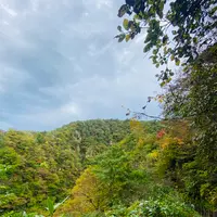 鳴子峡の写真・動画_image_722348
