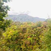 鳴子峡の写真・動画_image_722349