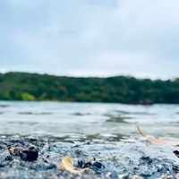 潟沼の写真・動画_image_722350