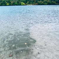 潟沼の写真・動画_image_722352