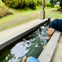 鬼首かんけつ泉の写真・動画_image_722370