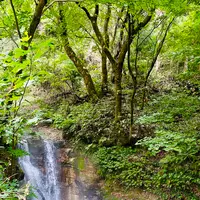 鬼首かんけつ泉の写真・動画_image_722371