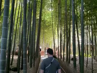 報国寺（竹寺）の写真・動画_image_724527