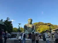 鎌倉大仏（高徳院）の写真・動画_image_724540