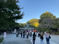 鎌倉大仏（高徳院）の写真・動画_image_724543
