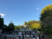 鎌倉大仏（高徳院）の写真・動画_image_724545
