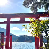 箱根神社の写真・動画_image_726240