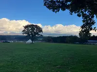 ふもとっぱらの写真・動画_image_728390