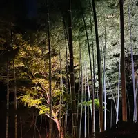六義園の写真・動画_image_728507