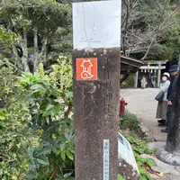 玉作湯神社の写真・動画_image_729712