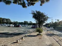 中田島砂丘の写真・動画_image_729925
