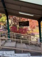 大山ケーブルカーの写真・動画_image_729973