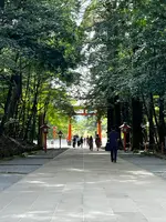 霧島神宮の写真・動画_image_731121