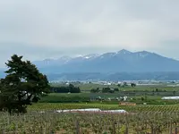 カンパーナ六花亭の写真・動画_image_731448