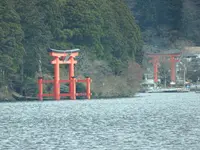 箱根神社の写真・動画_image_731749