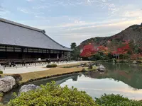天龍寺の写真・動画_image_732267