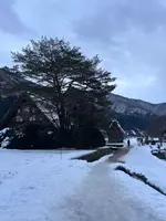 白川郷の写真・動画_image_733246