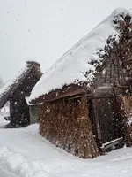 菅沼合掌造り集落の写真・動画_image_733247