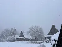 菅沼合掌造り集落の写真・動画_image_733248