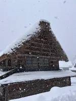 菅沼合掌造り集落の写真・動画_image_733249