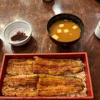 鰻 やっこの写真・動画_image_733807