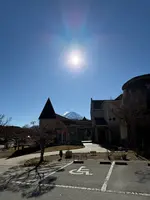 オルソンさんのいちごの写真・動画_image_733816