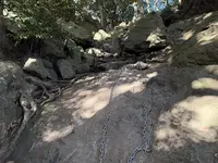 大甕神社（大甕倭文神社）の写真・動画_image_736215