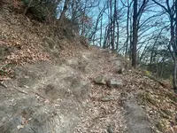 高屋神社の写真・動画_image_736761