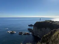 足摺岬の写真・動画_image_736918