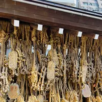 東覚寺の写真・動画_image_738402