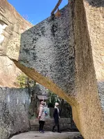 生石神社の写真・動画_image_742275