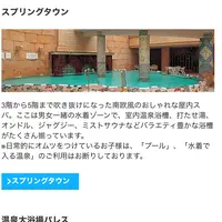 スパリゾートハワイアンズの写真・動画_image_742521
