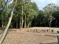 バターのいとこの写真・動画_image_742569
