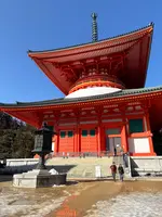 金剛峯寺 根本大塔の写真・動画_image_742677