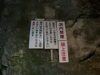 日原鍾乳洞の写真・動画_image_742891