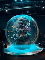 アトア（átoa）の写真・動画_image_744661