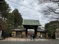 豪徳寺の写真・動画_image_745940