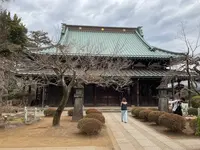 豪徳寺の写真・動画_image_745943