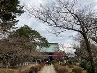 豪徳寺の写真・動画_image_745946