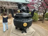 豪徳寺の写真・動画_image_745955