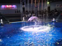 マクセル アクアパーク品川の写真・動画_image_747066