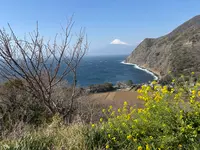 煌めきの丘の写真・動画_image_749247