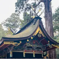 鹿島神宮の写真・動画_image_749646