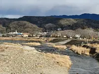 若葉の写真・動画_image_751945