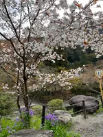 八瀬比叡山口駅の写真・動画_image_752690
